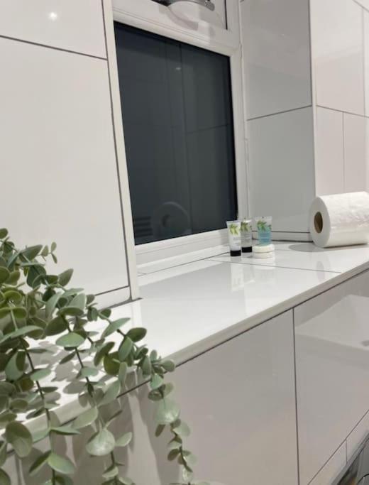 No25-Luxe Living Guest House- 2 Bed-Wifi-Free Parking-City- Beach สวอนซี ภายนอก รูปภาพ
